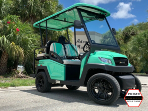 affordable golf cart rental, golf cart rent singer island, cart rental singer island