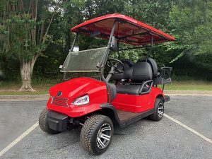 singer island golf cart rental, golf cart rentals